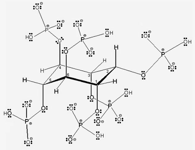 Acid fitic Acid fitic