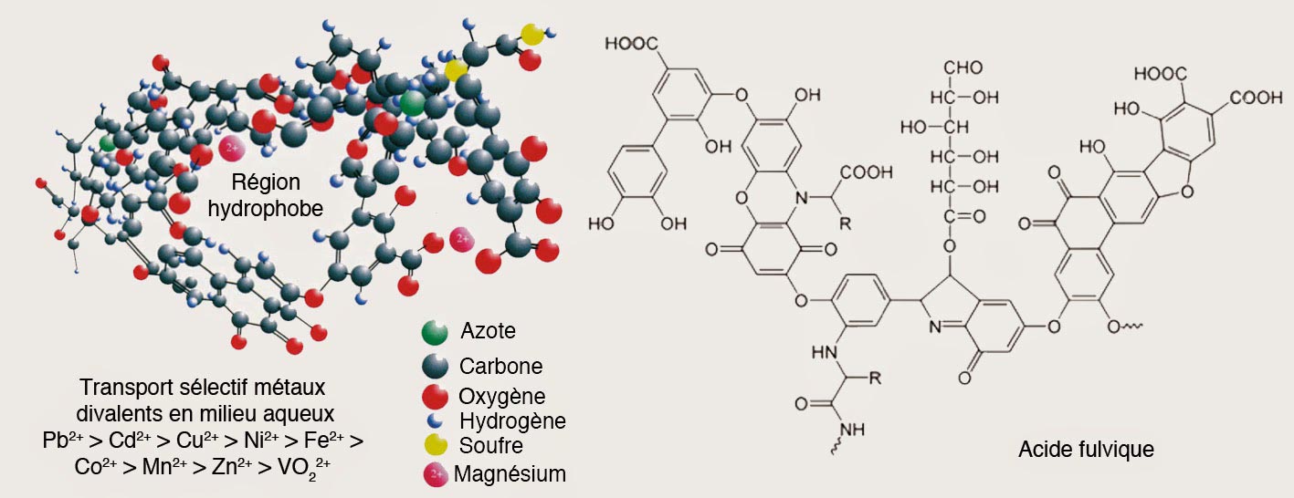 Acid fulvic Acid fulvic
