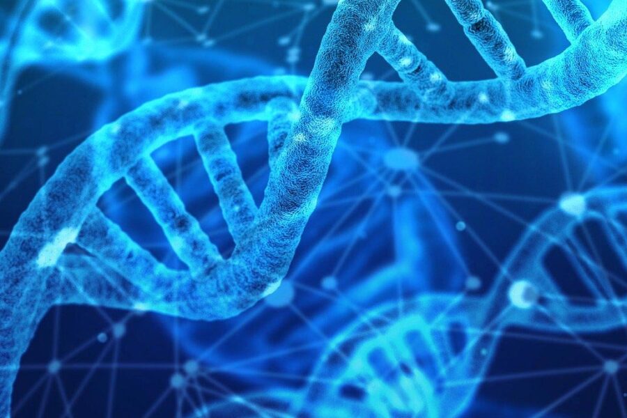 Epigenetica: când traumele noastre psihologice se transmit copiilor noştri